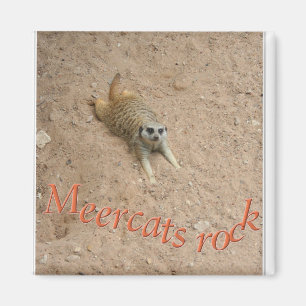 Imán ¡Roca de Meercats!