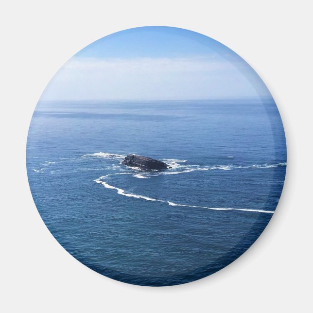 Imán Roca Otter, Cabo Foulweather, Newport, Oregón (Frente)
