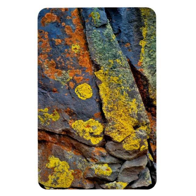 Imán Rocas Cubiertas de Liquen (Vertical)