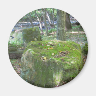 Imán Rocas cubiertas de musgo en el banco