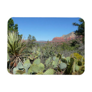 Imán Rocas Rojas y Cactus I