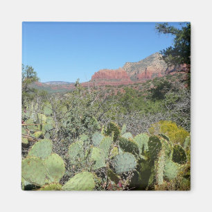 Imán Rocas rojas y cactus I