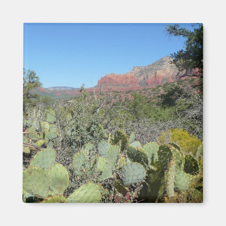 Imán Rocas rojas y cactus I
