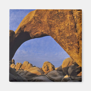 Imán Rock artístico en el parque nacional del árbol de