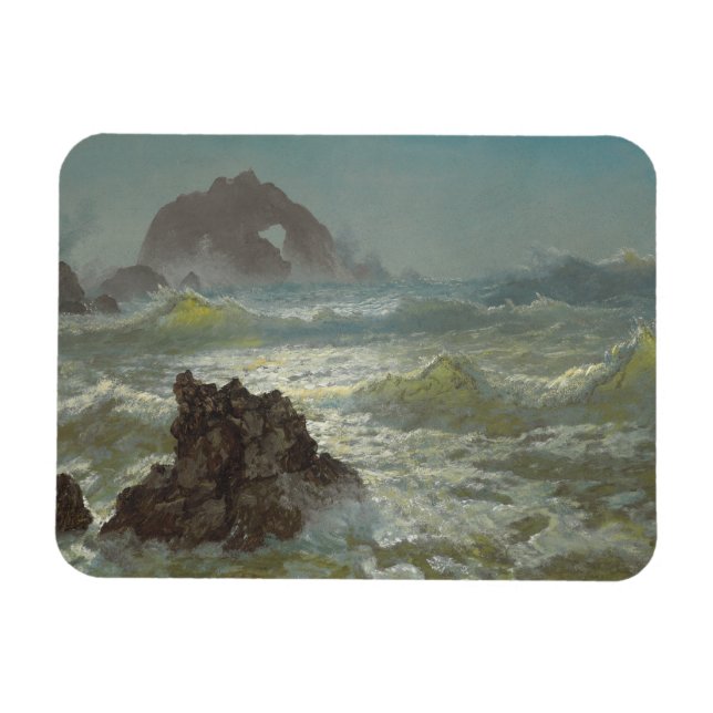 Imán Rock de foca, California, c.1872 (Horizontal)
