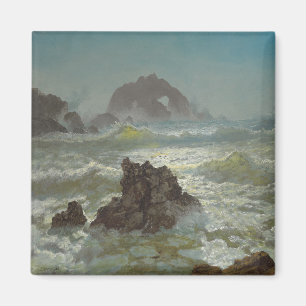 Imán Rock de foca, California, c.1872