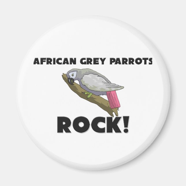 Imán Rock de los loros grises africanos (Frente)