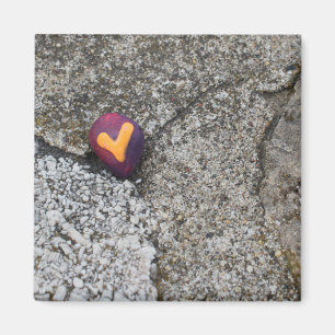 Imán Rock del corazón y rock fósil