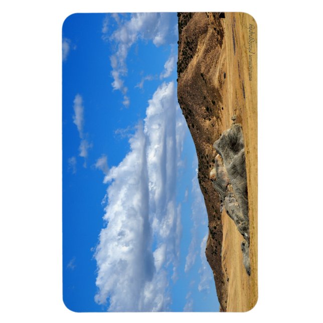 Imán Rock pintado en la llanura (Vertical)