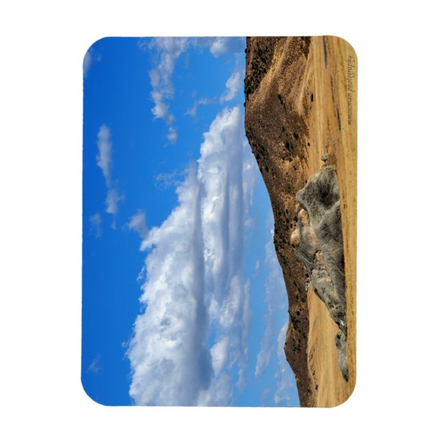 Imán Rock pintado en la llanura (Vertical)