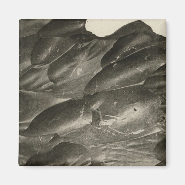 Imán Rock tallado por el Colorado (Frente)