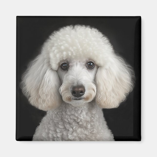 Imán Rocky (Frente)