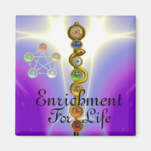 IMÁN ROD DE ASCLEPIUS 7 CHAKRAS,YOGA ,ENERGÍA ESPIRITUA