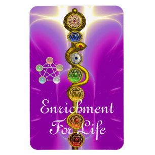 IMÁN ROD DE ASCLEPIUS 7 CHAKRAS,YOGA ,ENERGÍA ESPIRITUA