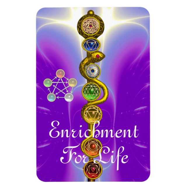 IMÁN ROD DE ASCLEPIUS 7 CHAKRAS,YOGA ,ENERGÍA ESPIRITUA (Vertical)