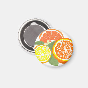 Imán Rodajas de cítricos frescos Naranja Limón