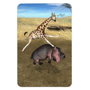 Imán Rodeo Hippo