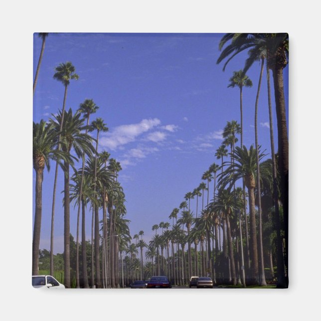 Imán Rodeo Residencial, Beverly Hills, California (Frente)