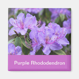 Imán rododendro morado