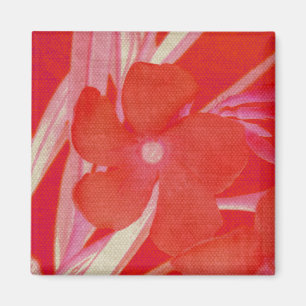 Imán rojo de la flor