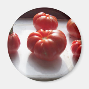 Imán rojo de los tomates
