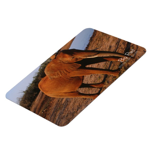 Imán Rojo grande (Lado Izquierdo)