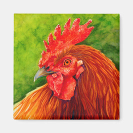 Imán Rojo Grande - Rooster Magneted R