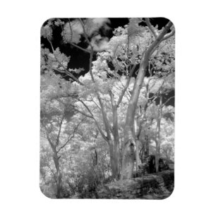 Imán Rojo infantil de árboles edificios y senderos en 