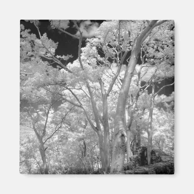 Imán Rojo infantil de árboles edificios y senderos en L (Frente)