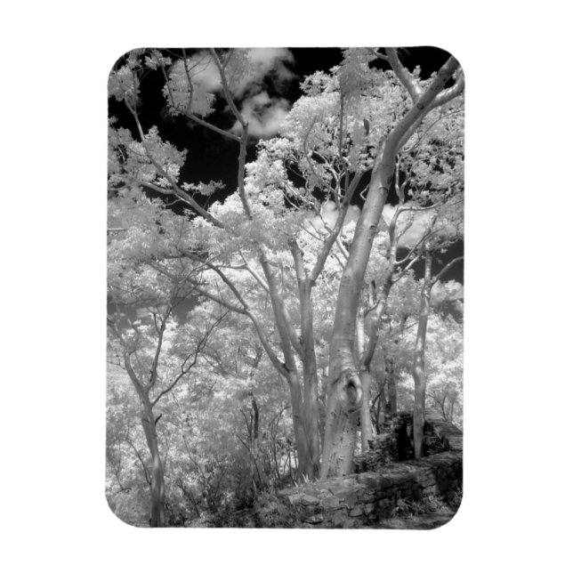 Imán Rojo infantil de árboles edificios y senderos en L (Vertical)