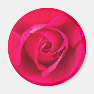Imán Rojo Romántico Rosa Rosada v2