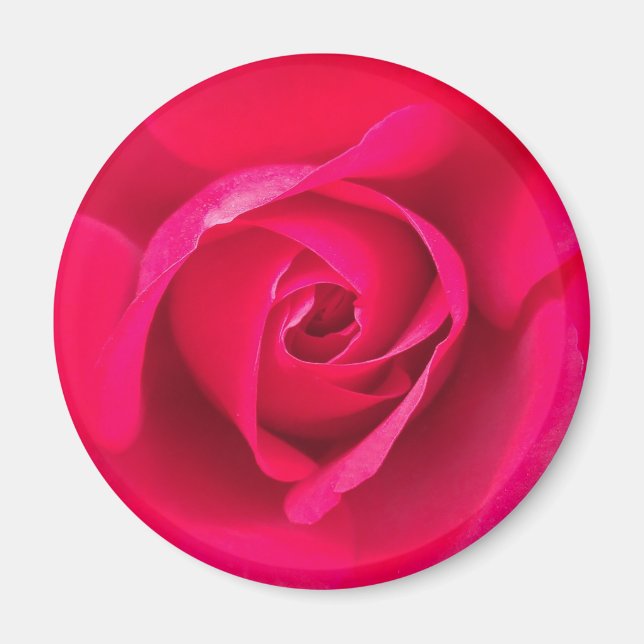 Imán Rojo Romántico Rosa Rosada v2 (Frente)