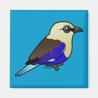 Imán Roller de barriga azul