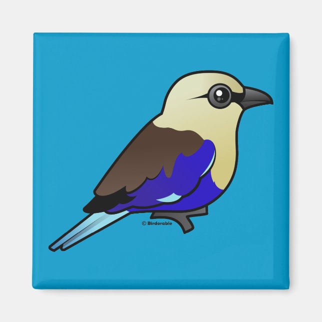 Imán Roller de barriga azul (Frente)