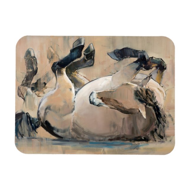 Imán Rollo (Horizontal)