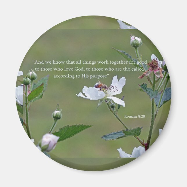 Imán Romans 8:28 (Frente)