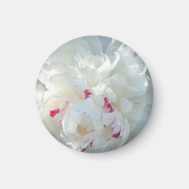 Imán Romantic Peony Magnet (Frente)