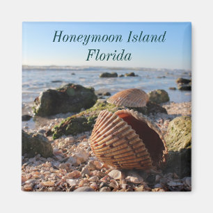 Imán romántico de los Seashells de la Florida de