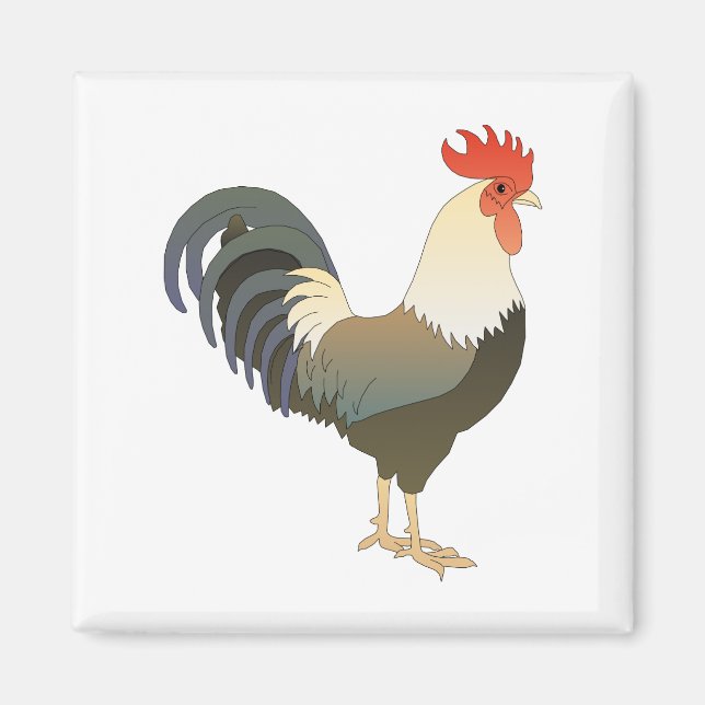 Imán Rooster (Frente)