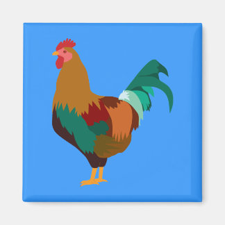 Imán Rooster