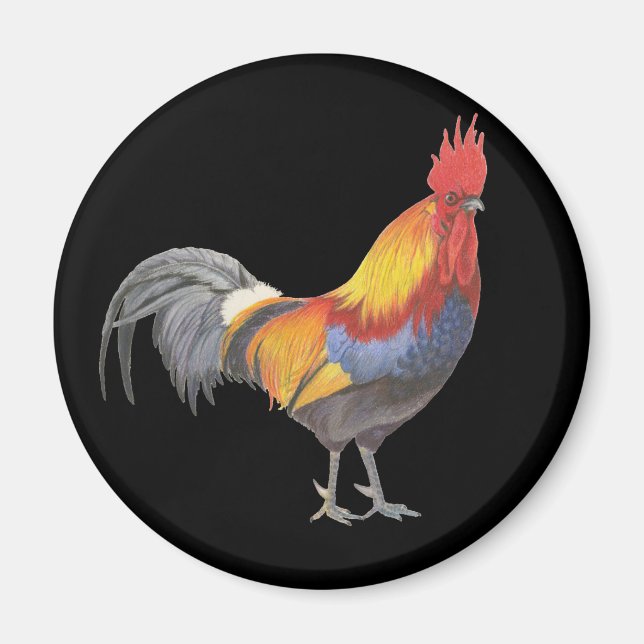 Imán Rooster (Frente)