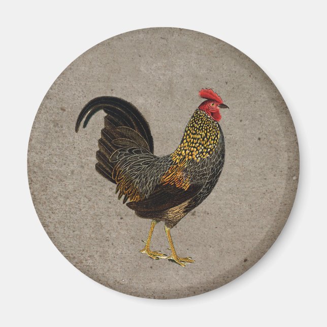 Imán Rooster (Frente)