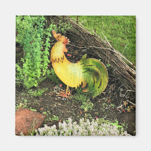 Imán Rooster amarillo y verde