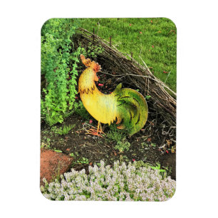 Imán Rooster amarillo y verde