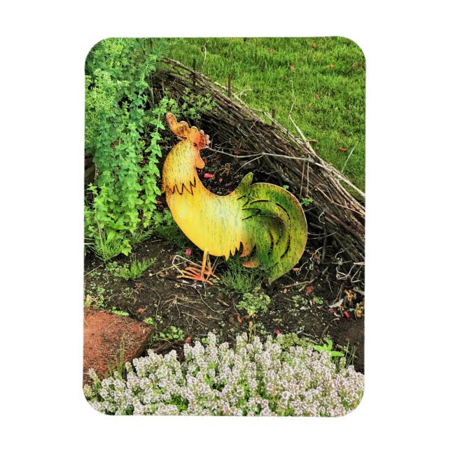 Imán Rooster amarillo y verde (Vertical)