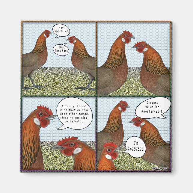 Imán Rooster Bait (Frente)