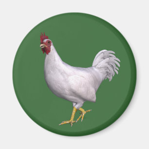 Imán Rooster blanco