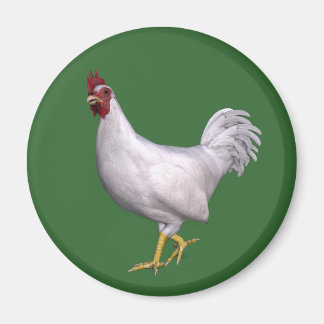 Imán Rooster blanco