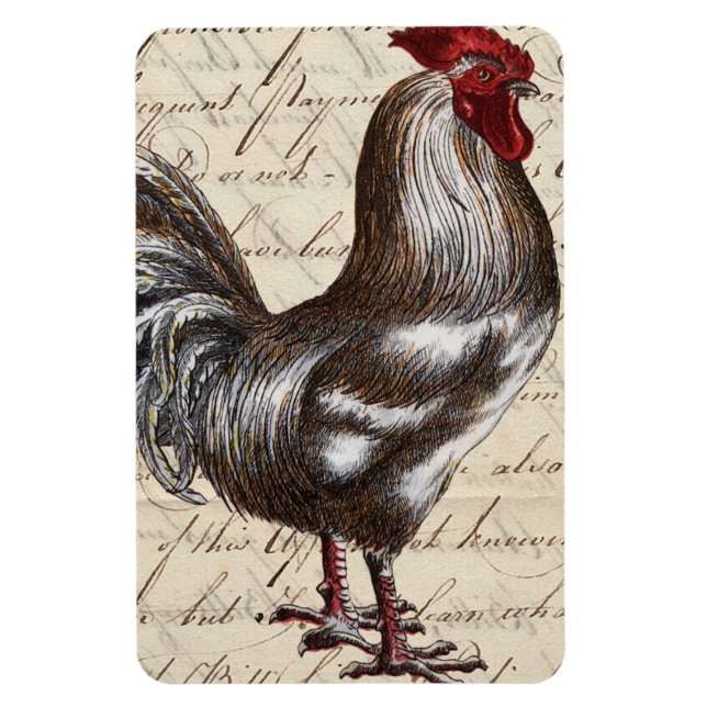 Imán Rooster de época (Vertical)