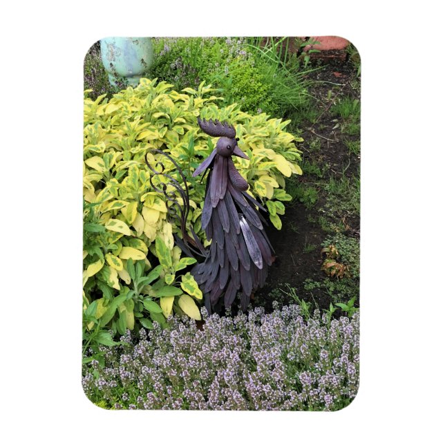 Imán Rooster Metalizado (Vertical)